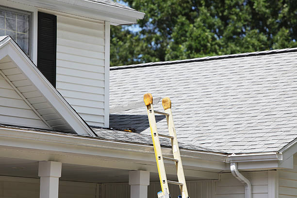 Best Wood Siding Installation  in Blountstown, FL